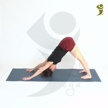 L'Art du Yoga - Posture debout et d'équilibre