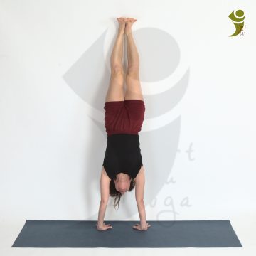 L'Art du Yoga - Posture Inversée