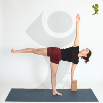 L'Art du Yoga - Posture debout et d'équilibre