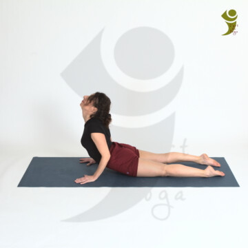 L'Art du Yoga - Posture Arrière