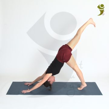 L'Art du Yoga - Posture debout et d'équilibre