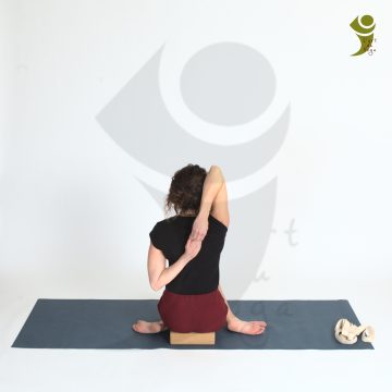 L'Art du Yoga - Posture en assise