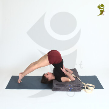 L'Art du Yoga - Posture Inversée