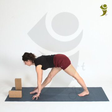 L'Art du Yoga - Posture debout et d'équilibre