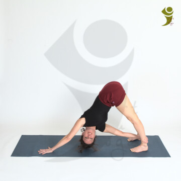 L'Art du Yoga - Posture en torsion