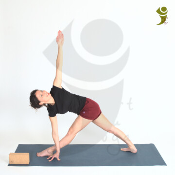 L'Art du Yoga - Posture en torsion
