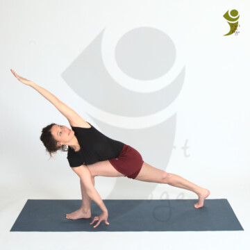 L'Art du Yoga - Posture en torsion