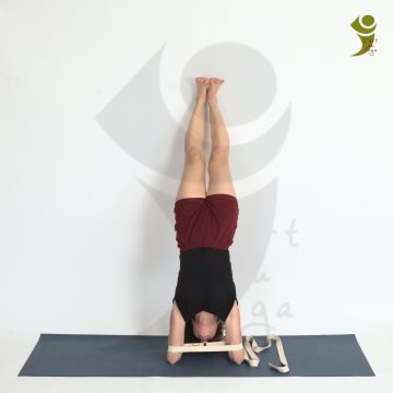 L'Art du Yoga - Posture Arrière