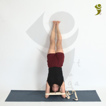 L'Art du Yoga - Posture Arrière