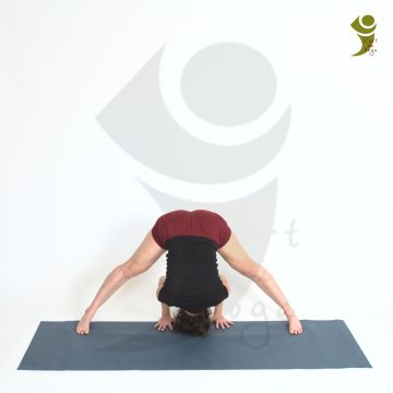 L'Art du Yoga - Posture debout et d'équilibre