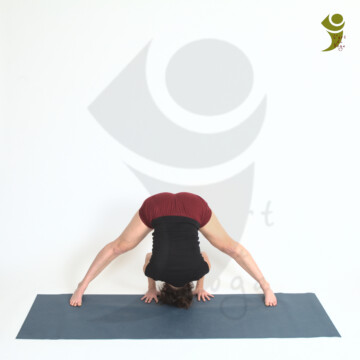 L'Art du Yoga - Posture debout et d'équilibre