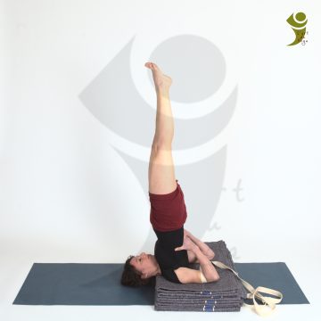 L'Art du Yoga - Posture Inversée
