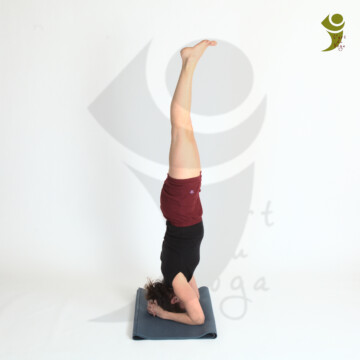 L'Art du Yoga - Posture Inversée
