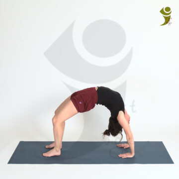 L'Art du Yoga - Posture Arrière