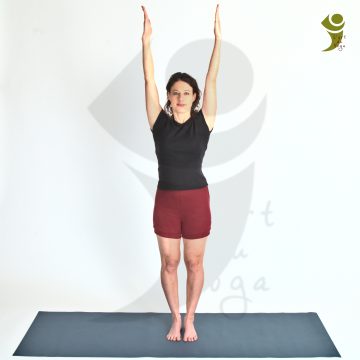 L'Art du Yoga - Posture debout et d'équilibre