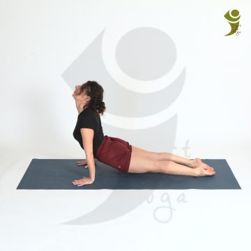 L'Art du Yoga - Posture Arrière