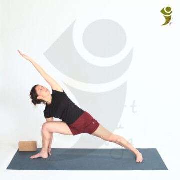 L'Art du Yoga - Posture debout et d'équilibre