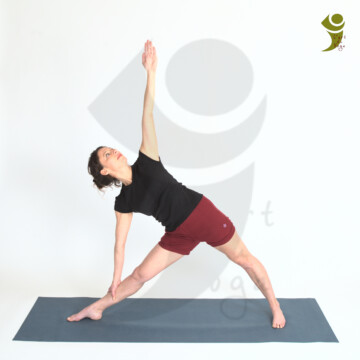 L'Art du Yoga posture debout et d'équilibre