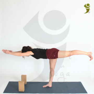 L'Art du Yoga - Posture debout et d'équilibre