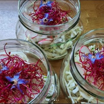 L'Art du Yoga - Journée de stage -Entrée