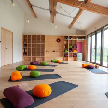 L'Art du Yoga - Stage - Salle Libellules